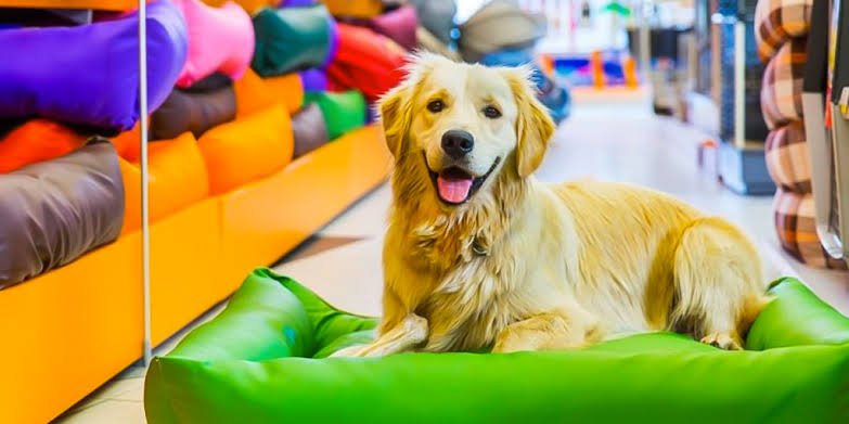 Marketing Digital para Pet Shops