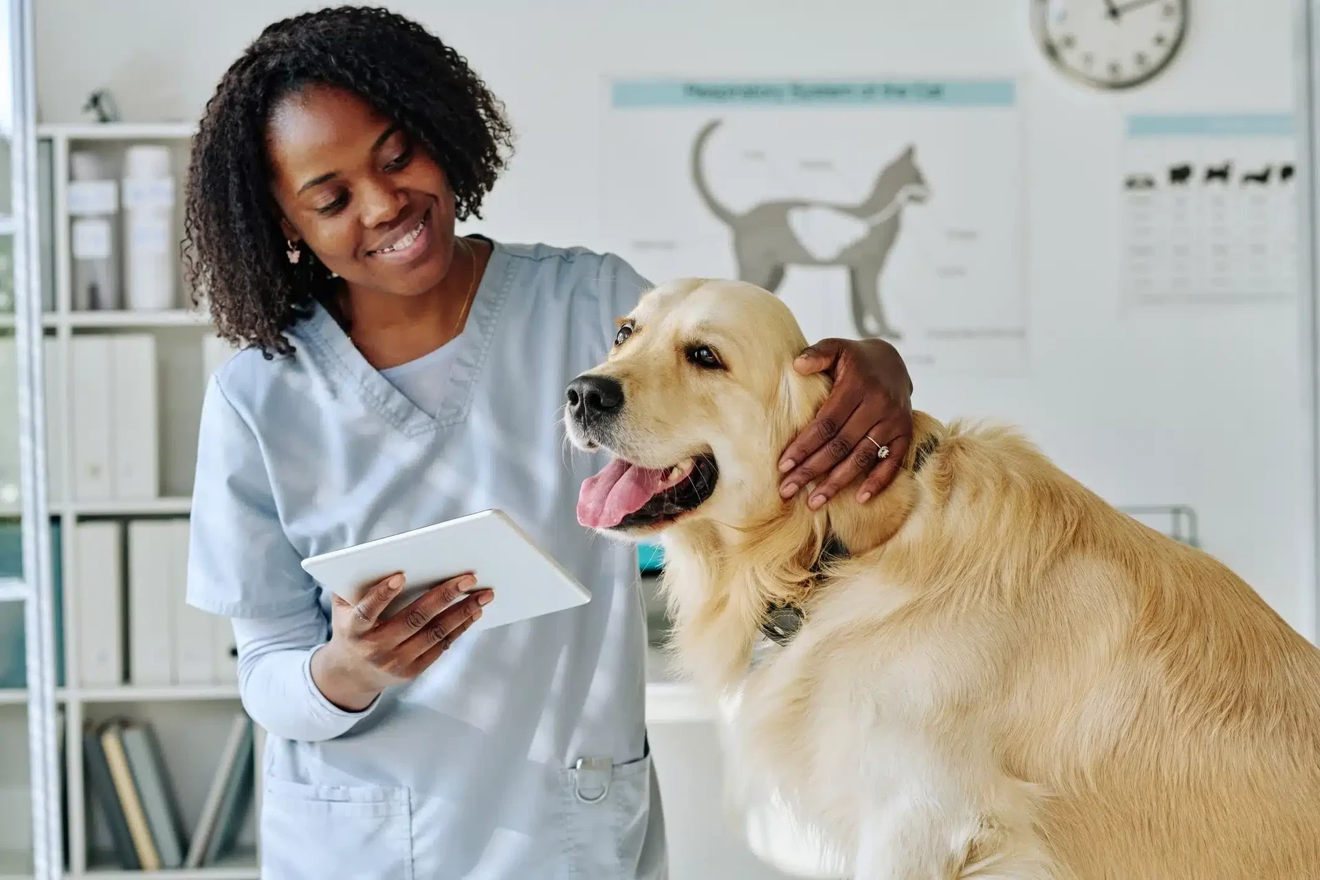 Marketing Digital para Veterinários